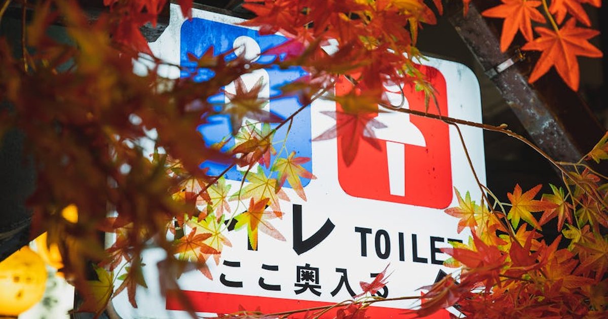 Colorful electric signboard showing public toilets hanging under trees with bright foliage in night