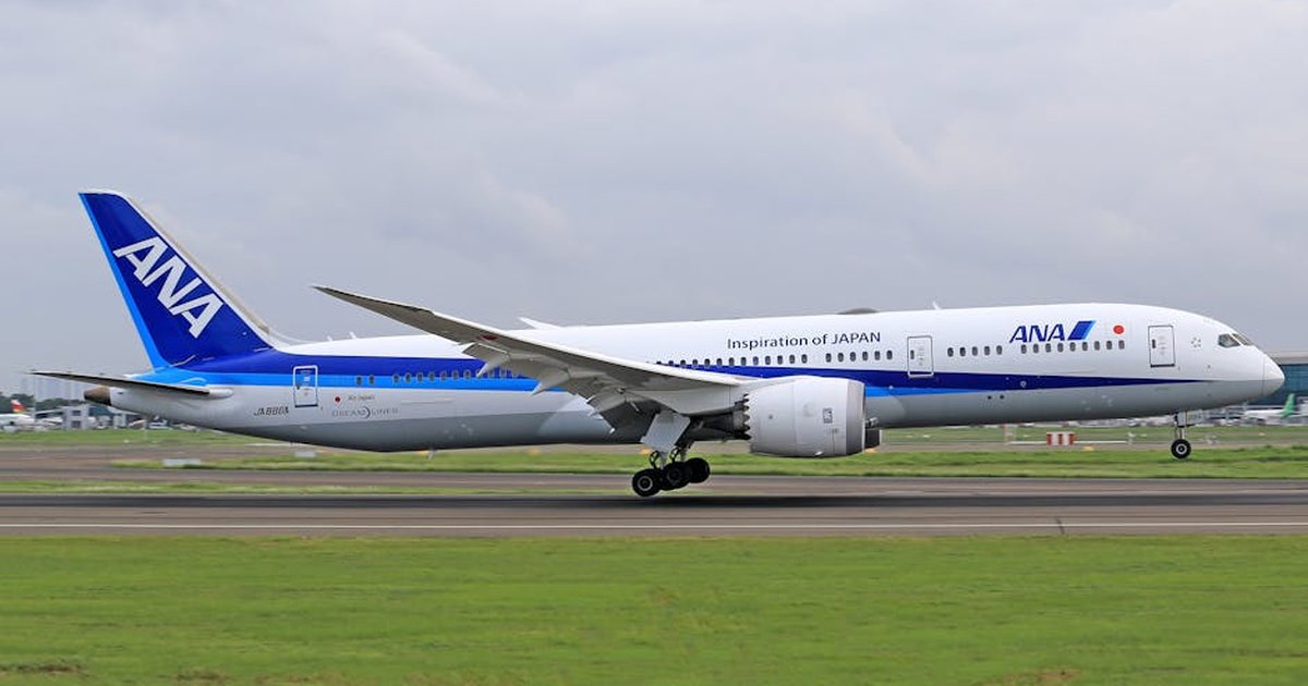 Boeing 787 Dreamliner operated by ANA landing smoothly at an airport runway.