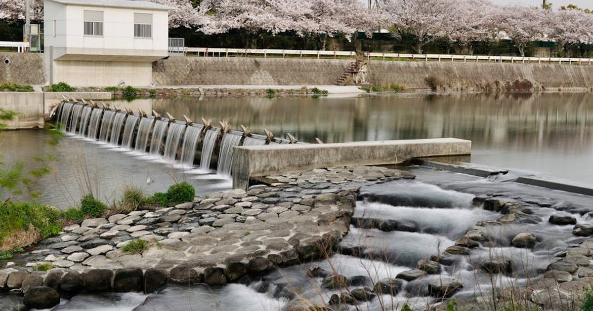 Beautiful river waterfall surrounded by cherry blossoms in spring, creating a serene natural scene.