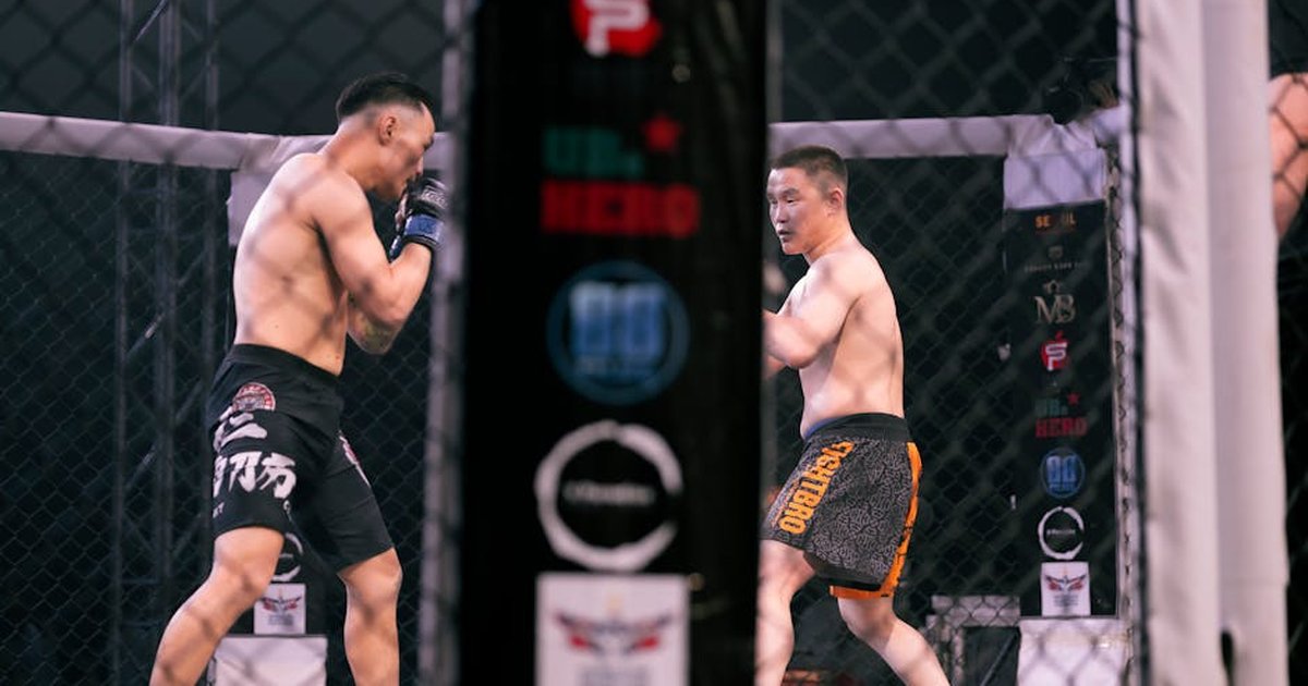 Two male fighters engaged in a thrilling MMA match inside an octagonal cage.