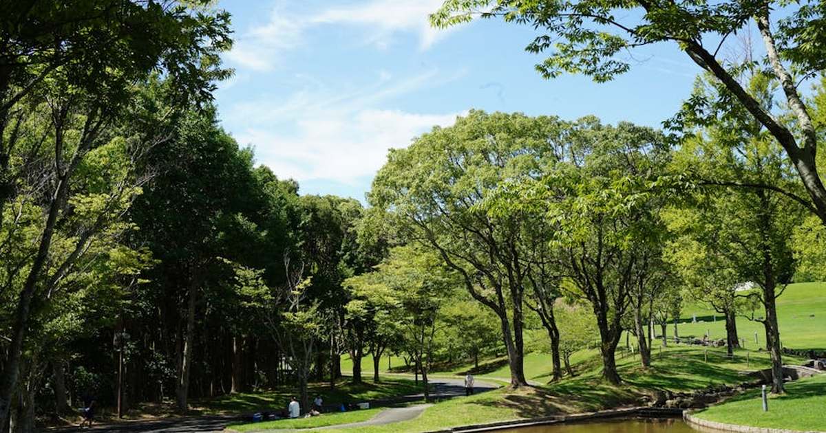 Peaceful scenic view of a park with a path and pond under green trees and blue sky.
