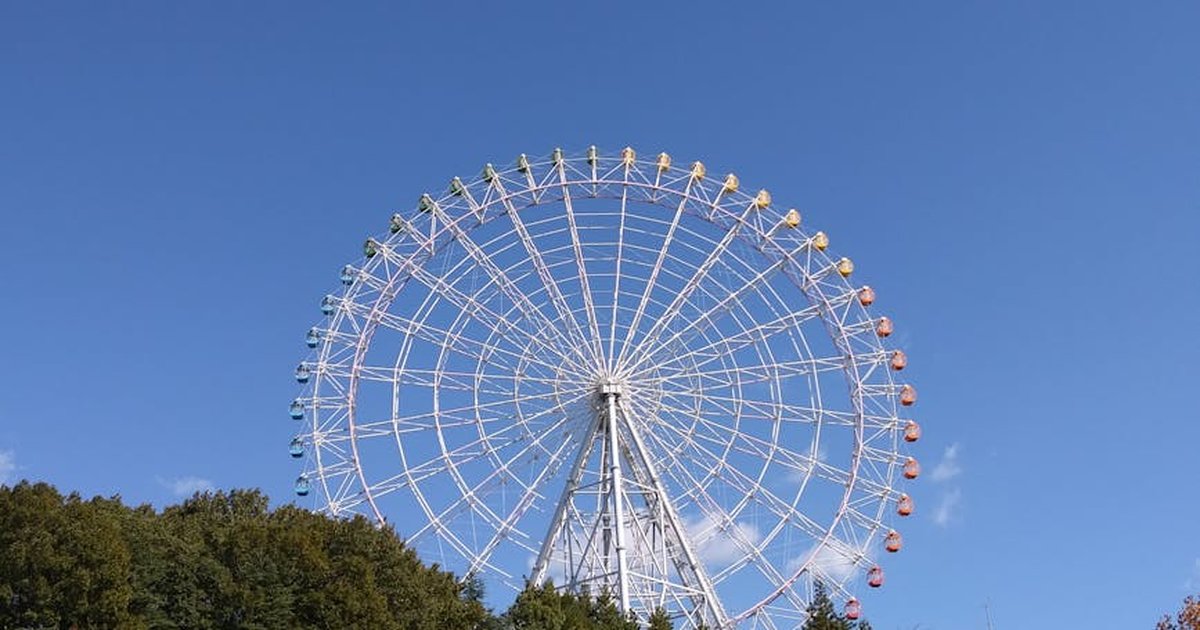 Vibrant ferris wheel towers above a wooded landscape, evoking amusement park excitement.