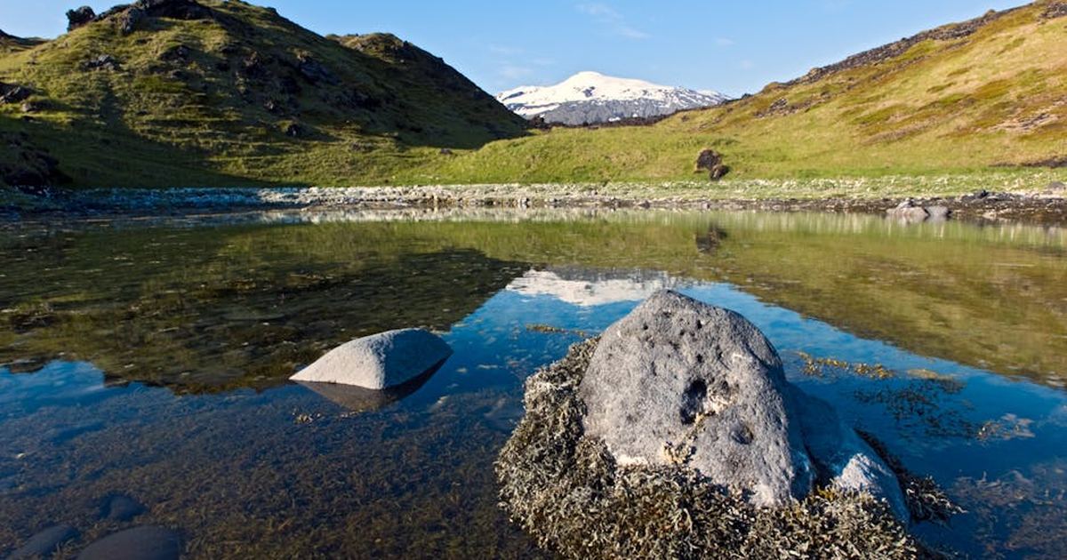 Icelandic landscape featuring a serene lake and distant snow-capped mountain under a clear blue sky.