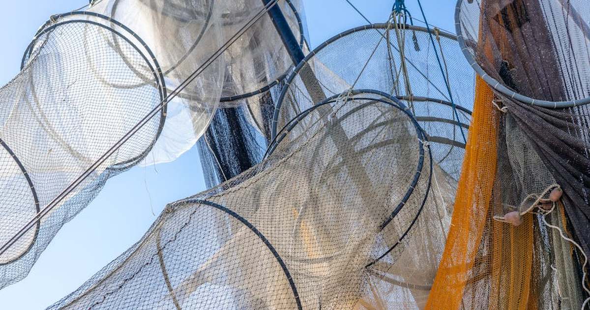A low angle view of various fishing nets hanging under a blue sky, showcasing patterns and textures.