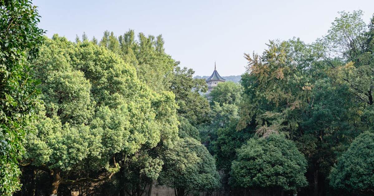 Scenic view of Linggu Pagoda with lush greenery in Nanjing, Jiangsu Province, China.