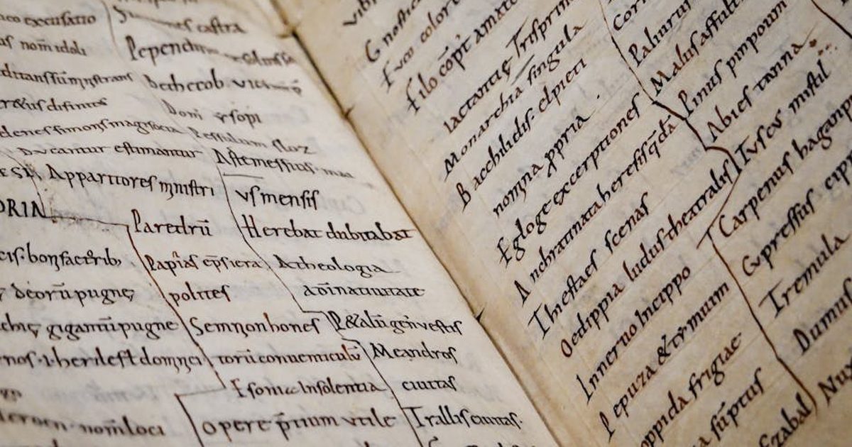 Detailed close-up of an ancient manuscript showcasing Latin text and calligraphy.