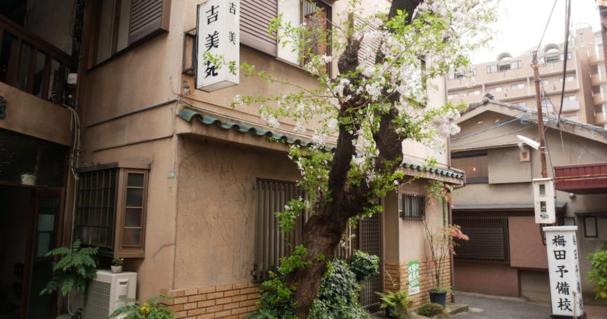Traditional Japanese street scene in Osaka featuring a blossoming cherry tree and classic architecture.