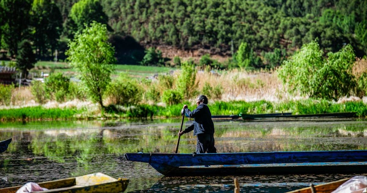 A man steers a wooden boat through serene lakeside waters surrounded by lush greenery in China.