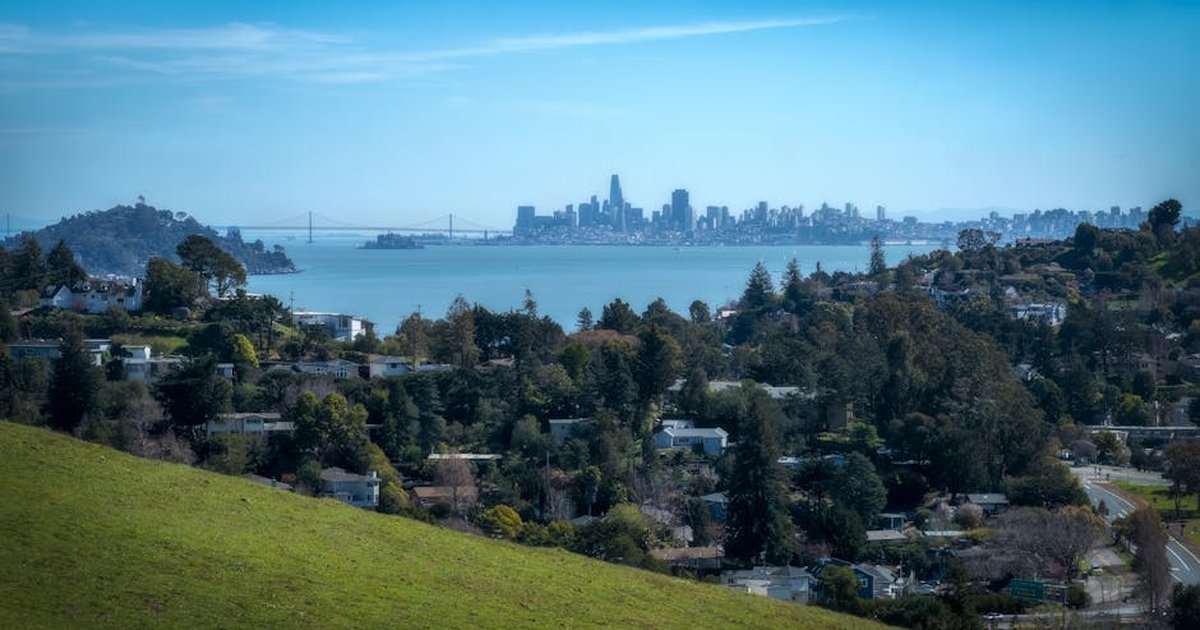 Scenic view of San Francisco skyline and Bay Bridge from a green suburban hilltop under a blue sky.