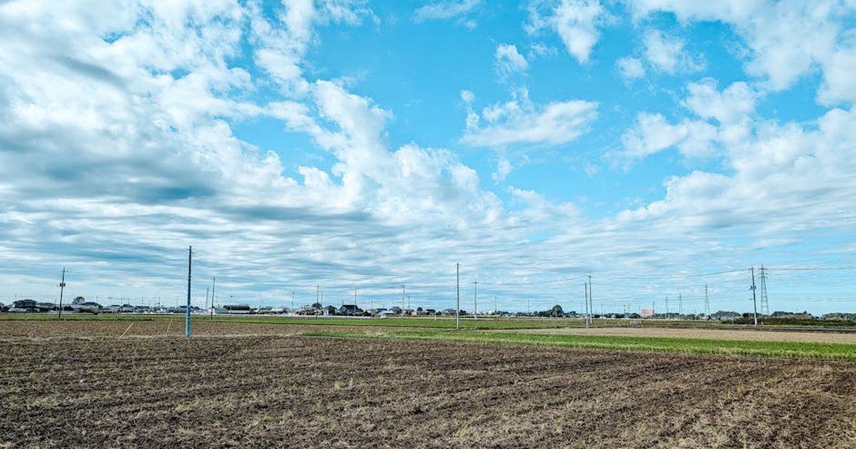 Wide shot of a rural landscape featuring fields and electric poles under a cloudy sky.