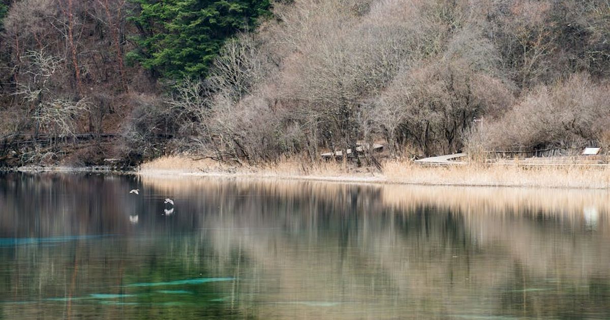 Peaceful lake with reflections surrounded by lush trees in Sichuan, China.
