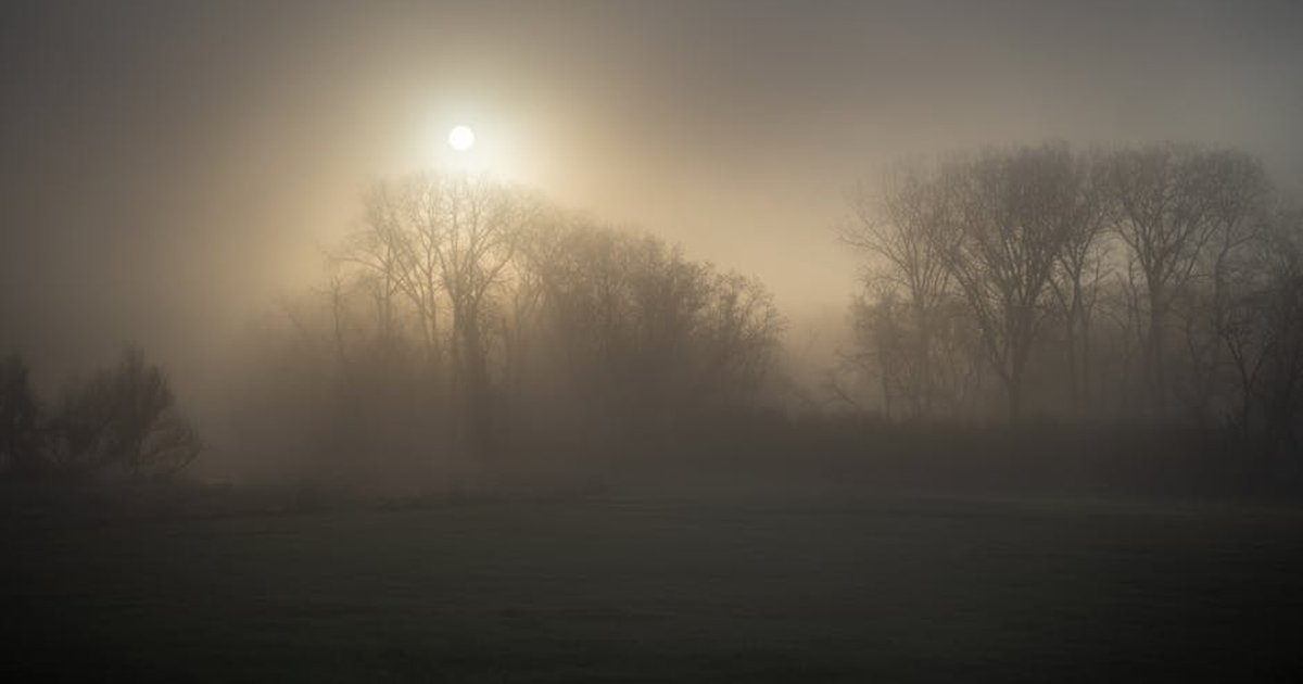 Serene sunrise over foggy woods in Weaver, Minnesota, creating a mystical morning scene.