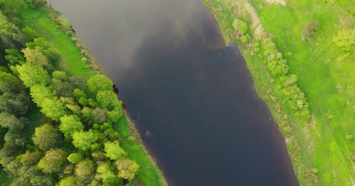 A stunning aerial perspective of a lush forest bordering a peaceful river, showcasing vibrant greenery and tranquility.