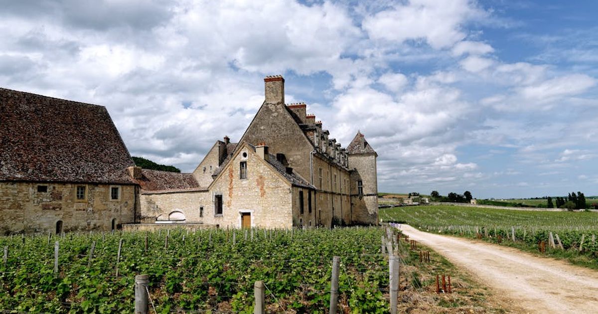 Château de Vougeot amid lush Burgundy vineyards under a bright sky.