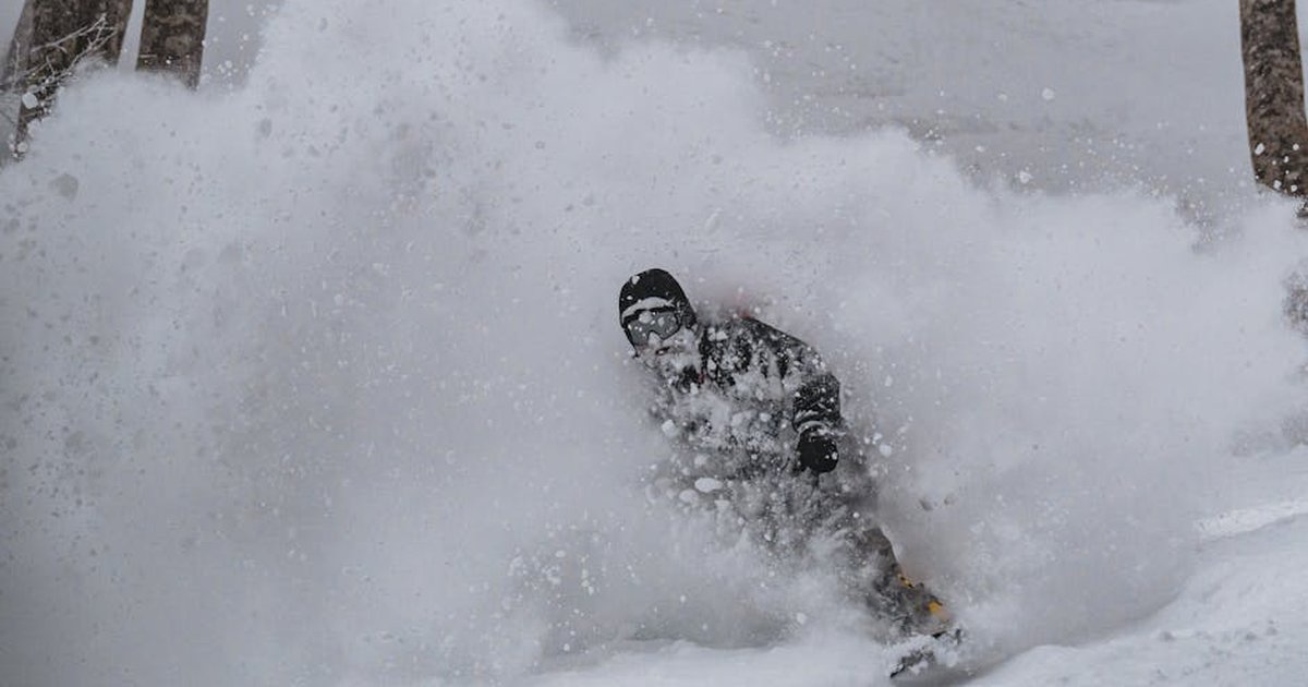 A snowboarder carves through fresh powder snow in a forest setting, creating an exhilarating scene.