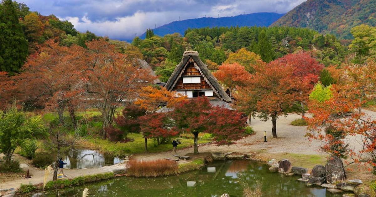 Scenic autumn view of a Gassho-zukuri house surrounded by colorful foliage in Shirakawa-go, Japan.