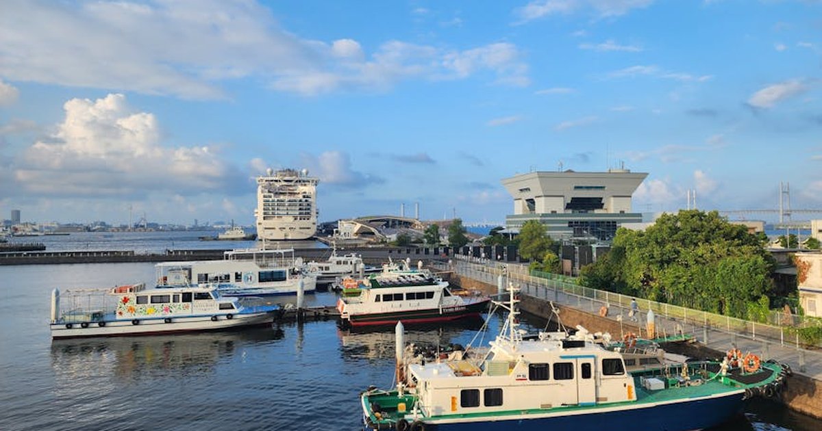 Colorful vessels moored at a bustling harbor with city buildings in the background under a blue sky.