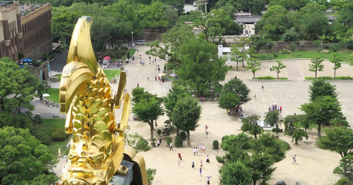 Aerial shot of Osaka Castle grounds featuring the iconic golden shachihoko atop the roof.