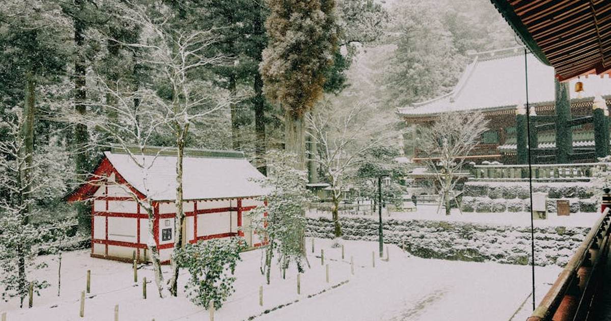 Captured in winter, this serene snowy scene at Nikko Toshogu Shrine showcases traditional Japanese architecture surrounded by a tranquil forest setting.