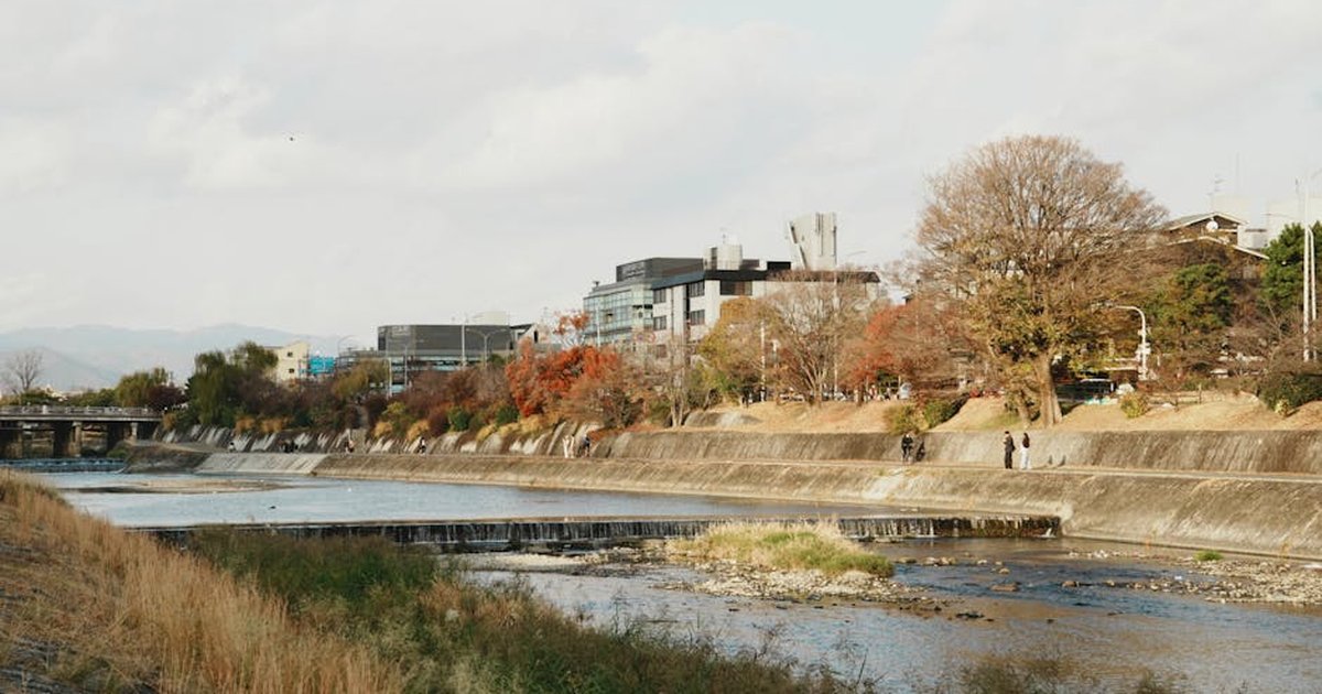 Tranquil view of Kyoto's riverbank with buildings, trees, and a flowing river during late fall.