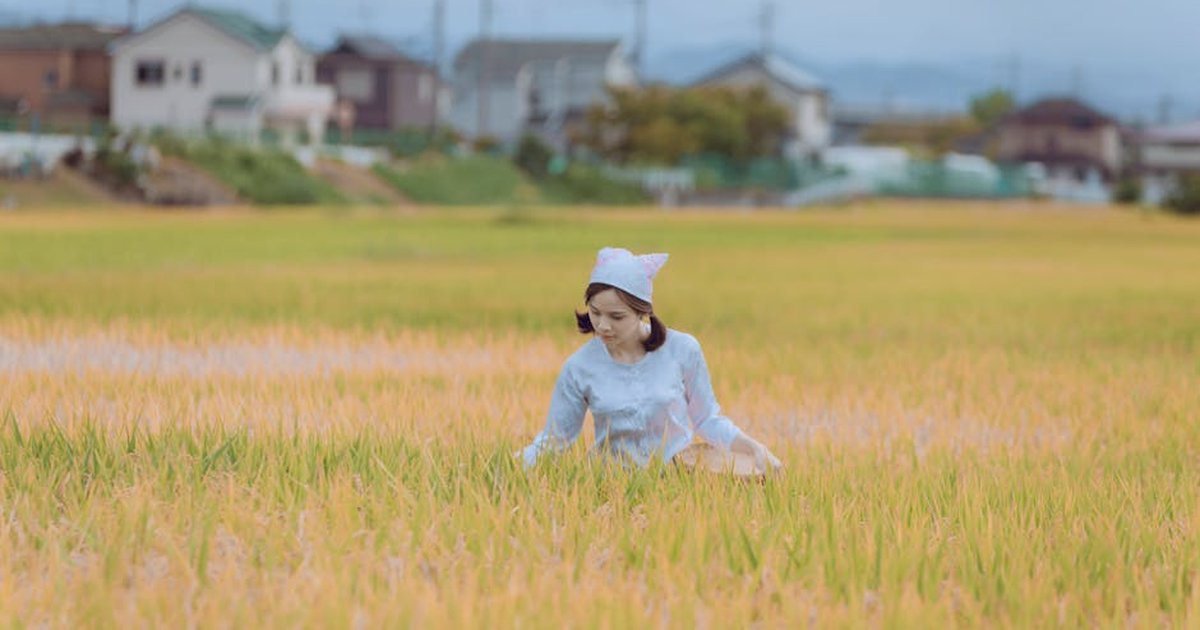 A woman in traditional attire harvesting crops in a rice field with rural houses in the background.