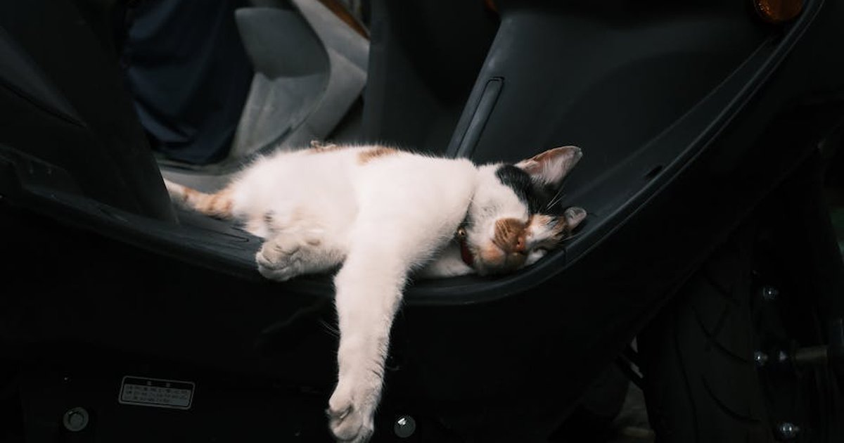 A relaxed cat peacefully napping on a parked motor scooter in an urban setting.
