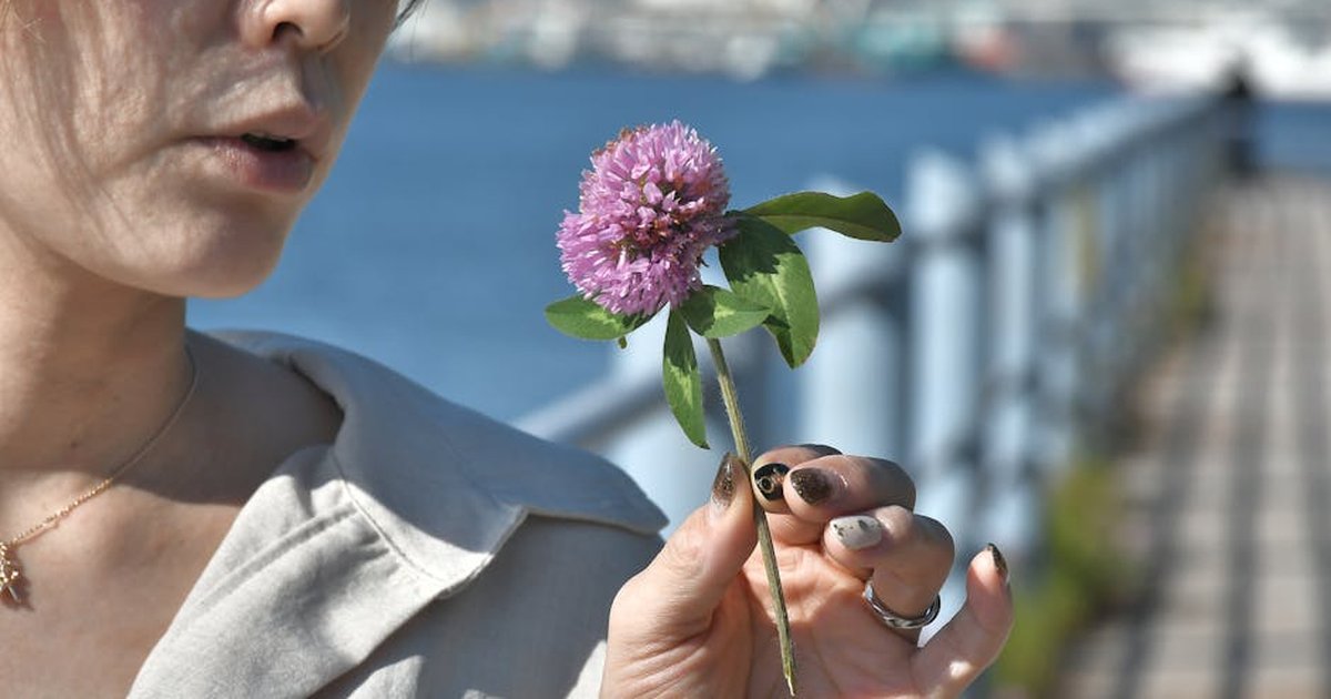 A close-up of a woman holding a pink clover flower by a waterfront on a sunny day.