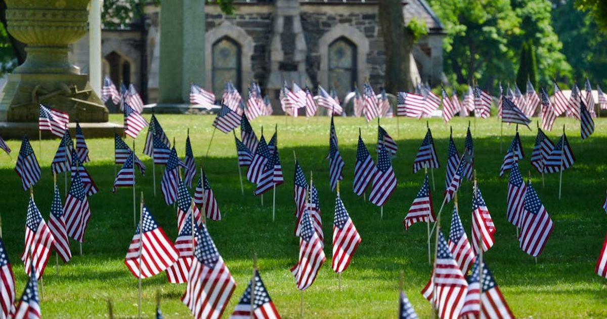 Rows of American flags displayed on a sunny lawn in Boston, USA, symbolizing patriotism.