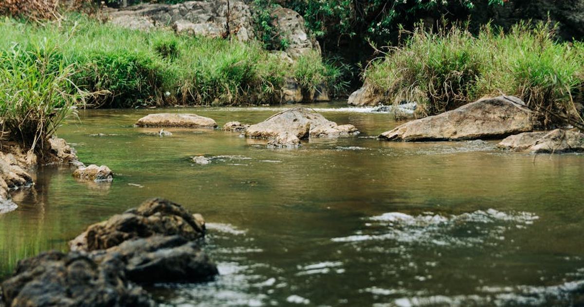 Peaceful stream flowing through green vegetation and rocks in Kon Tum, Vietnam.