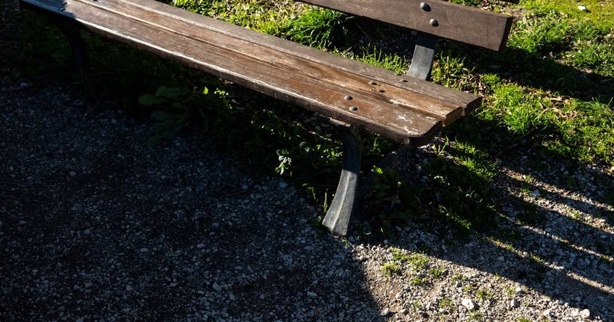 A wooden bench in a garden path provides a rustic and serene atmosphere.
