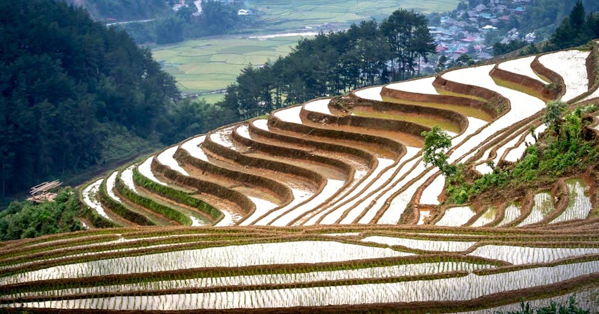 Spectacular scenery of rice paddy terraces ans small settlement located on mountain slope in Vietnam