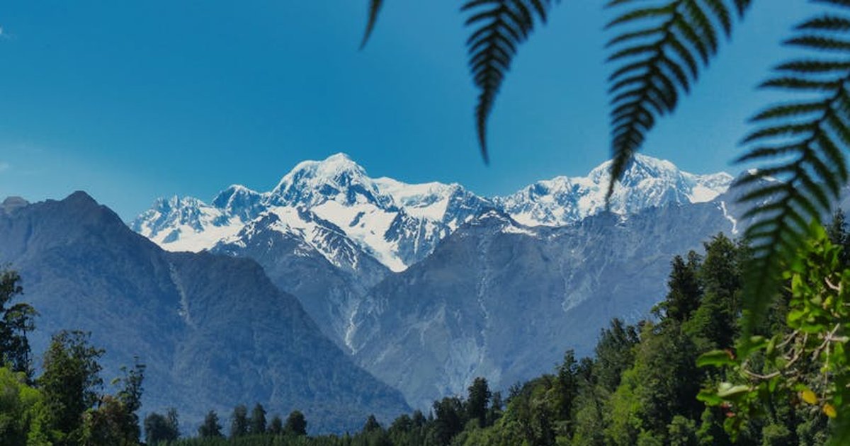 Breathtaking view of snowcapped Mount Cook and Lake Matheson with lush greenery.