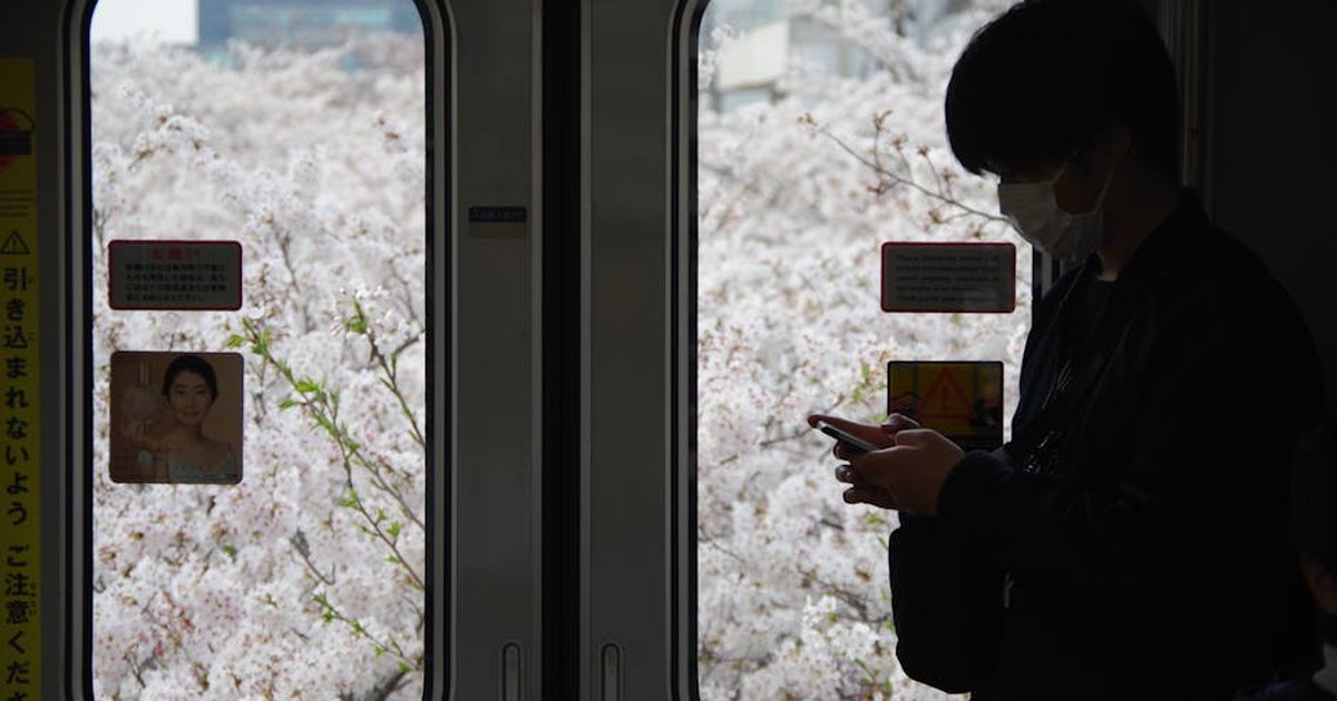 Silhouette on Tokyo train, cherry blossoms outside.
