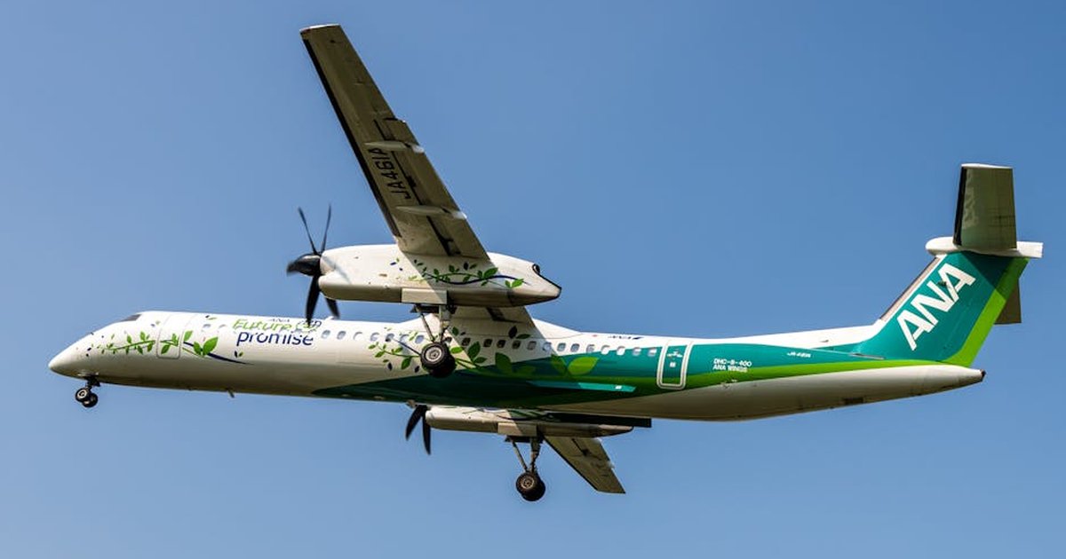 A commercial airplane with unique green livery flying against a clear blue sky showcasing sustainable travel.