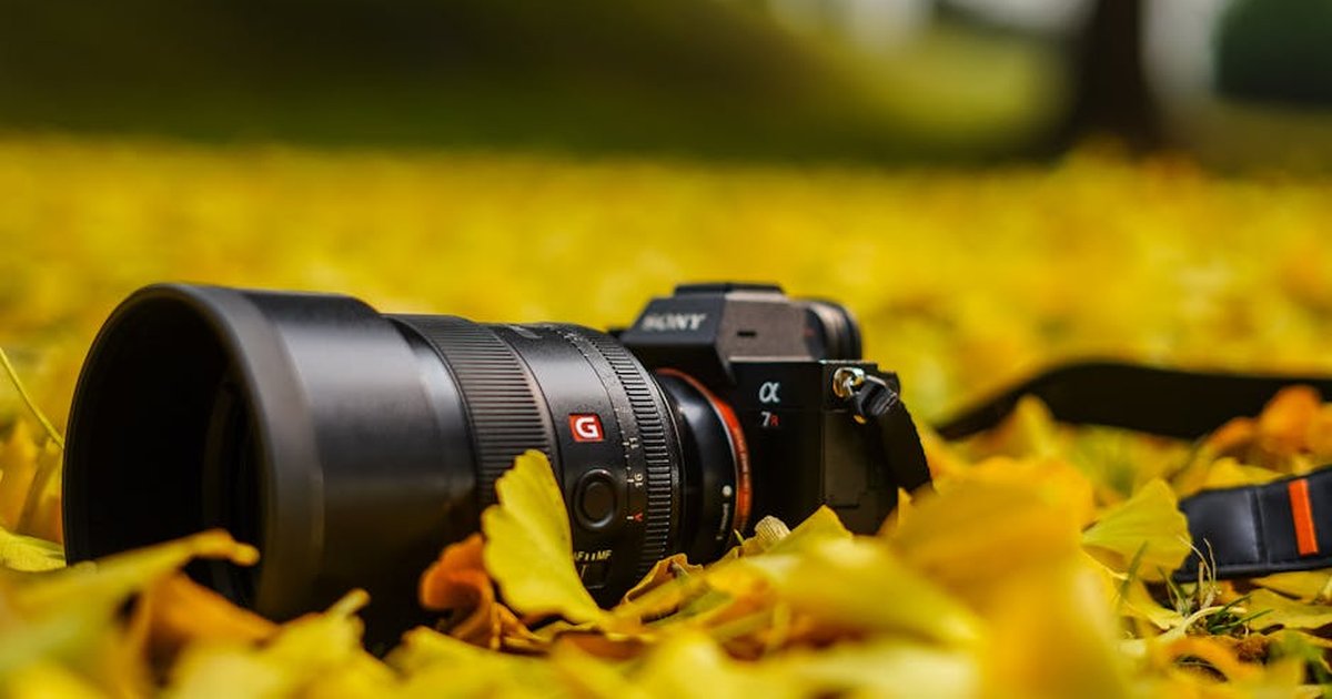 DSLR camera positioned on vibrant yellow autumn leaves, showcasing fall photography essence.