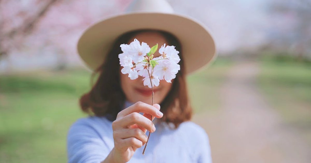 A woman in a hat holds a delicate cherry blossom branch in a sunny meadow setting.