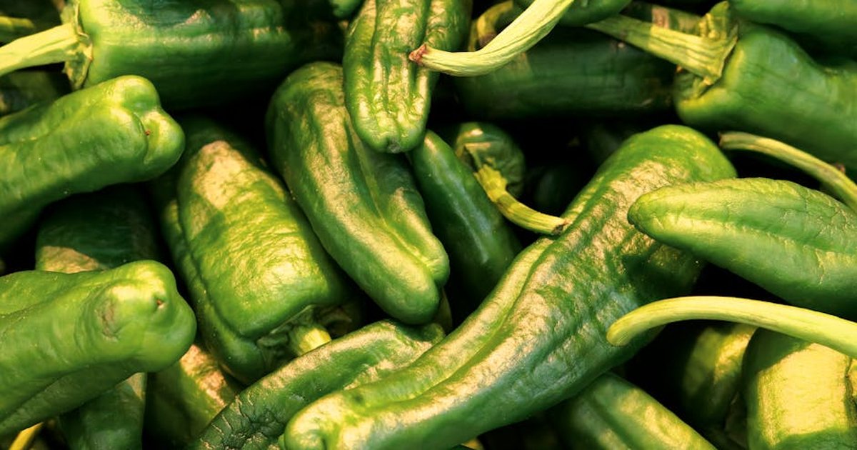 A close-up of vibrant green peppers. Perfect for culinary and healthy eating topics.