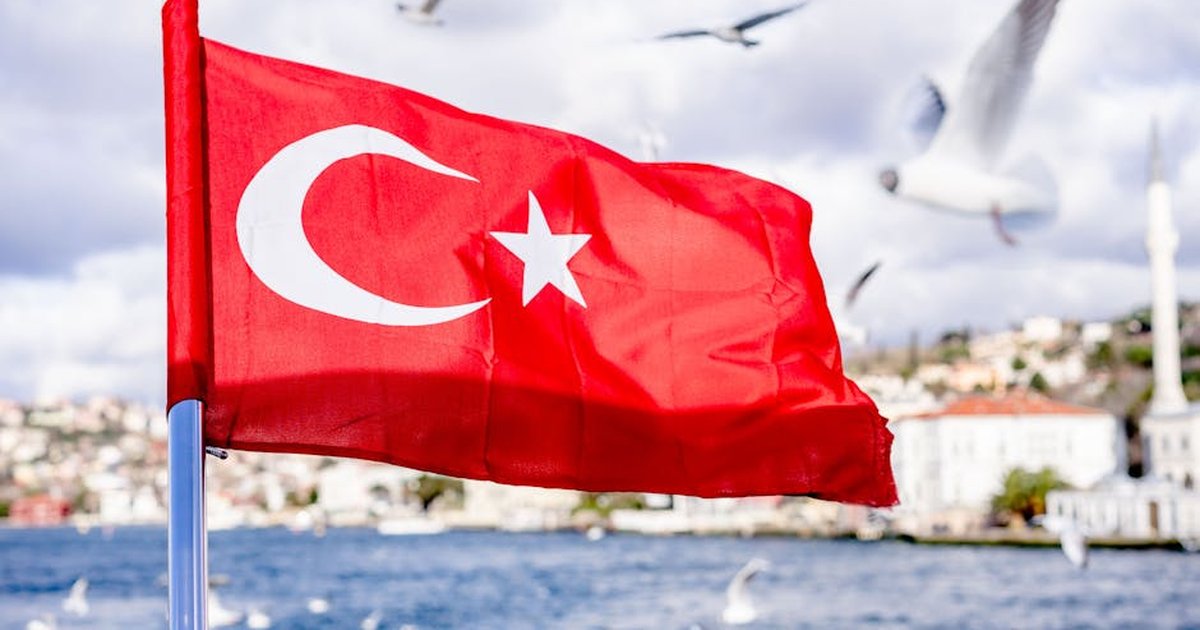 Turkish flag flutters with seagulls in the background over the Bosphorus in Istanbul.