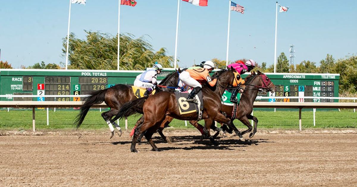 Dynamic horse race with jockeys in action capturing the thrilling moment of the competition.