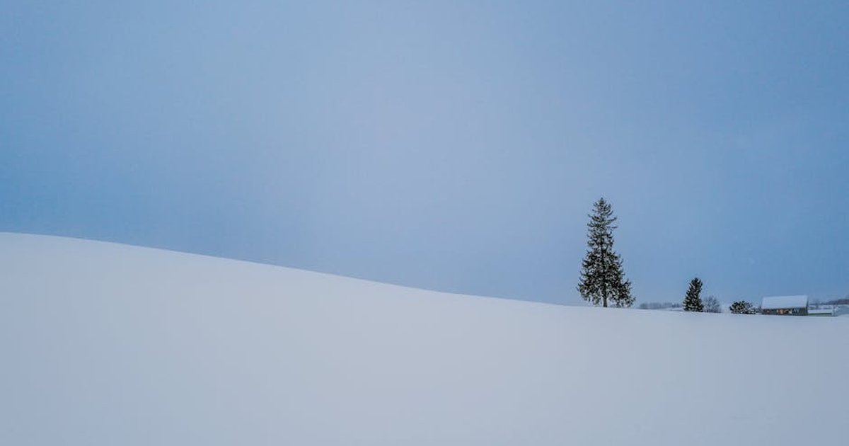 Serene winter scene of a snow-covered field with a lone tree under a clear sky.