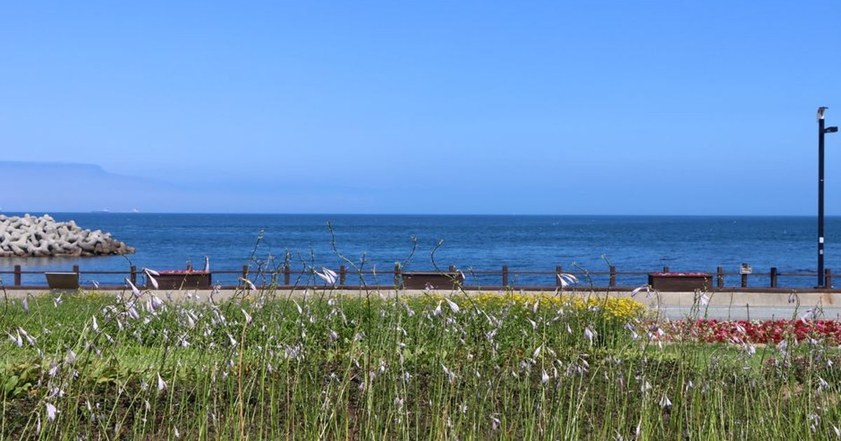 Tranquil seaside scene with blue sky, ocean, and vibrant flower beds.