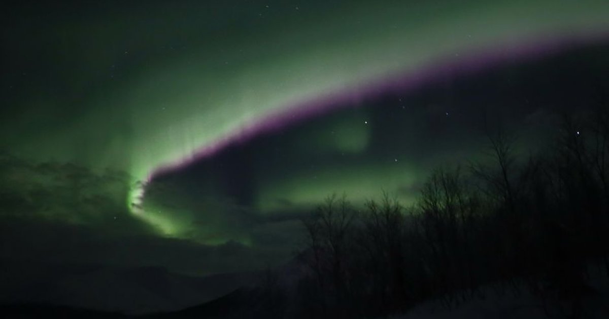 Stunning display of the northern lights illuminating a quiet winter night sky.