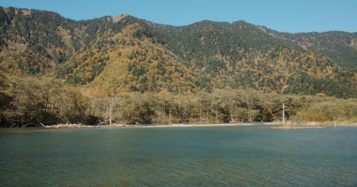 Beautiful autumn landscape of Nagano's mountainous region with vibrant foliage and clear water.