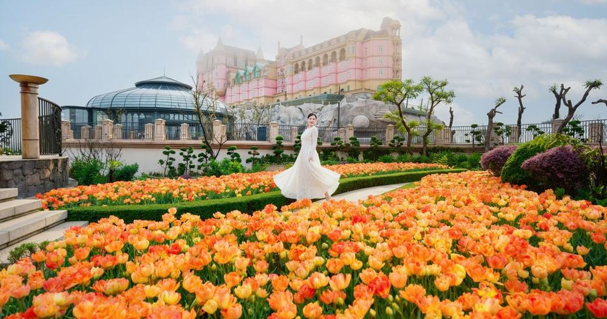 A woman in a white dress gracefully walks through a garden filled with orange tulips, with a grand building in the background.