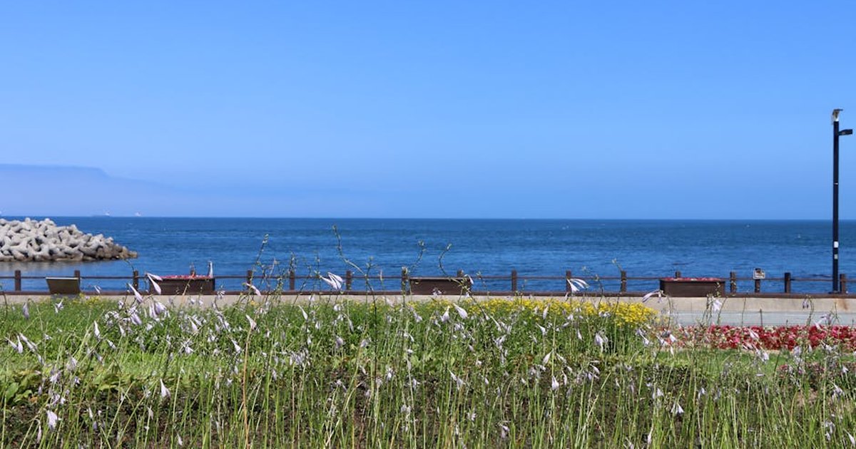 Tranquil seaside scene with blue sky, ocean, and vibrant flower beds.