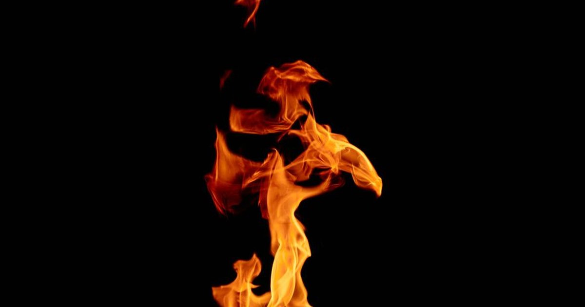 Vivid flames rise gracefully against a stark black backdrop.