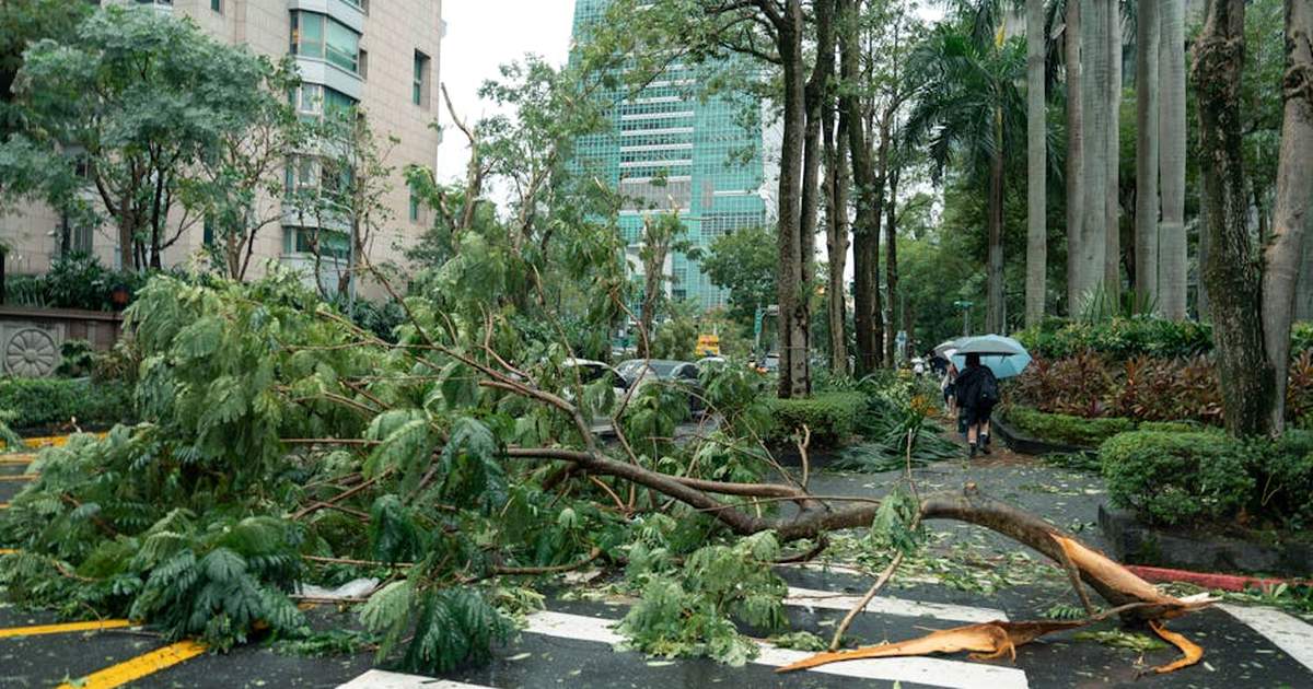 Debris from typhoon damage including fallen trees on a city street in Taipei, Taiwan.
