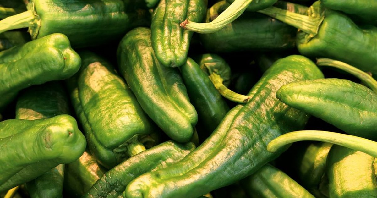 A close-up of vibrant green peppers. Perfect for culinary and healthy eating topics.