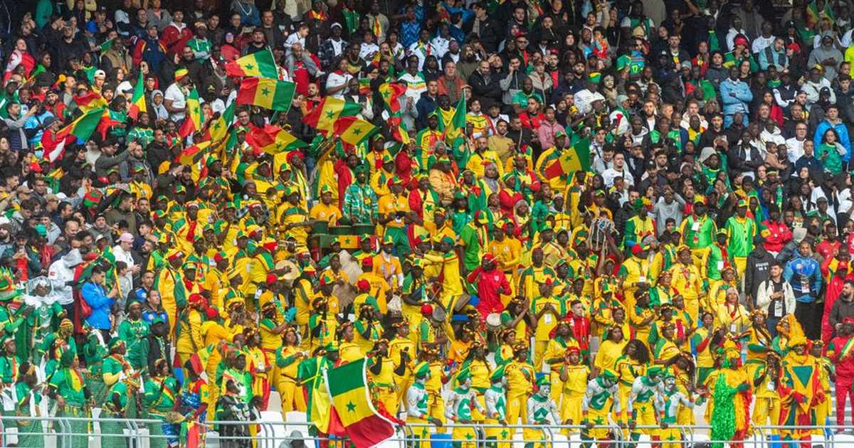 Vibrant crowd of football fans showing enthusiasm during Africa Cup of Nations match.