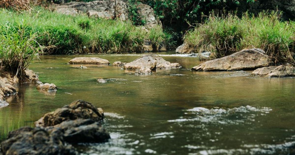 Peaceful stream flowing through green vegetation and rocks in Kon Tum, Vietnam.